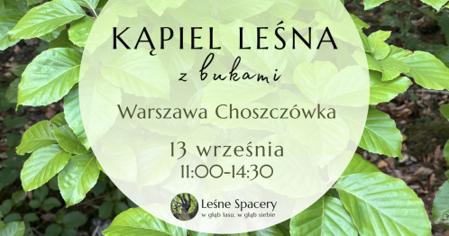 Leśna kąpiel z bukami. Leśne spacery. W głąb lasu, w głąb siebie.