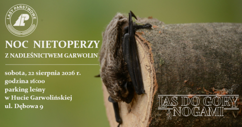 "Las do góry nogami", czyli NOC NIETOPERZY z Nadleśnictwem Garwolin