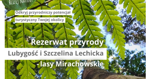 Turystyka bliżej natury / rezerwaty przyrody Lubygość i Szczelina Lechicka
