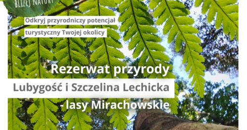Turystyka bliżej natury / rezerwaty przyrody Lubygość i Szczelina Lechicka