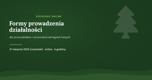 Masz certyfikat. Jak możesz działać jako przewodnik kąpieli leśnych? - Szkolenie dla branży forest bathing