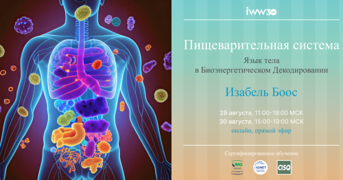 Изабель Боос: Пищеварительная система