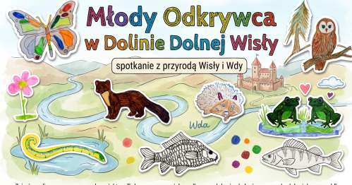 Młody Odkrywca w Dolinie Dolnej Wisły - spotkanie z przyrodą Wisły i Wdy