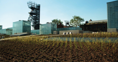 Zwiedzanie I Nowe Muzeum Śląskie