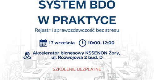 SYSTEM BDO W PRAKTYCE