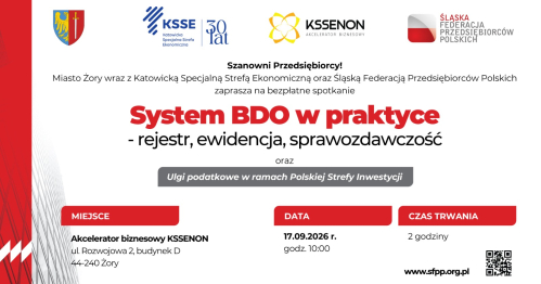 SYSTEM BDO W PRAKTYCE