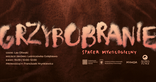 Grzybobranie - spacer mykologiczny
