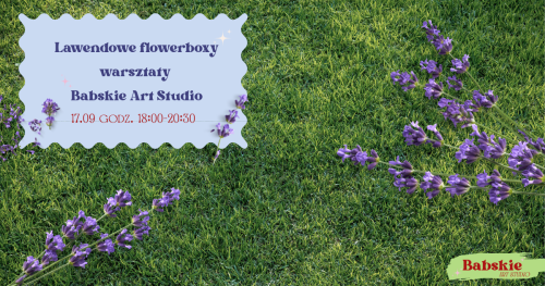Lawendowe flowerboxy - warsztaty z Babskie Art Studio