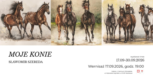 Moje konie. Sławomir Szereda