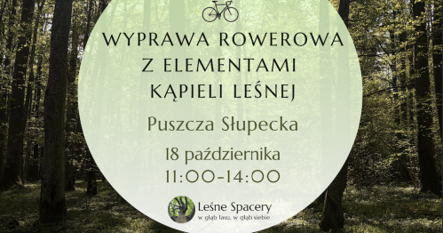 Wyprawa rowerowa z elementami kąpieli leśnej