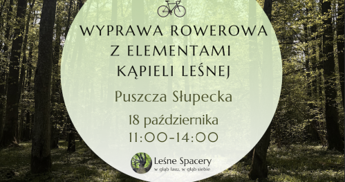 Wyprawa rowerowa z elementami kąpieli leśnej