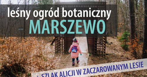 Wycieczka integracyjna edukacji domowej - Nadleśnictwo Marszewo