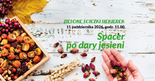 Zielone ścieżki Siekierek - spacer po dary jesieni