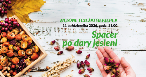 Zielone ścieżki Siekierek - spacer po dary jesieni