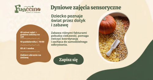 DYNIOWE ZAJĘCIA SENSORYCZNE W FUNCCINO