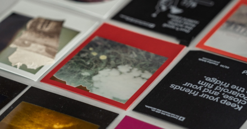 Polaroid Transfer. Warsztaty fotografii z Agnieszką Piasecką