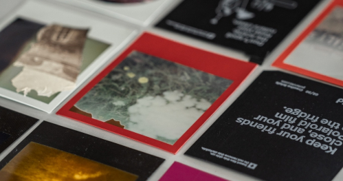 Polaroid Transfer. Warsztaty fotografii z Agnieszką Piasecką