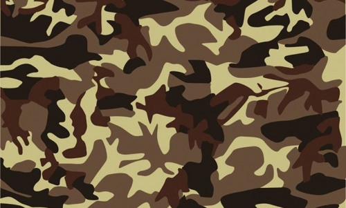 15.02. MILITARY FASHION SHOW - link do wydarzenia