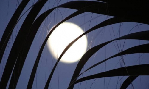 PREMIERA spektaklu flamenco "KSIĘŻYCOWE GODY"! - 29 marca 2014