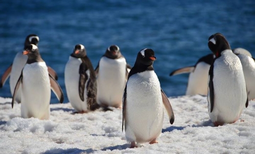Ameryka Południowa wszerz i wzdłuż