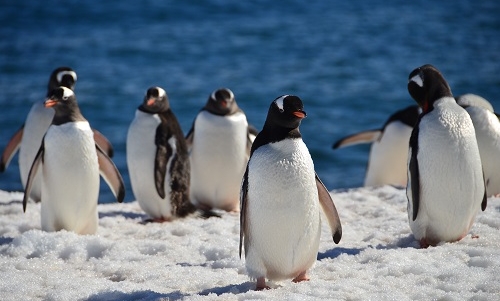 Ameryka Południowa wszerz i wzdłuż