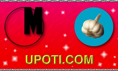 CZOSNEK STUDIO OPEN CALL: UNITED PEOPLE OF THE INTERNET
