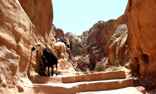 Jordania - mozaikowe królestwo