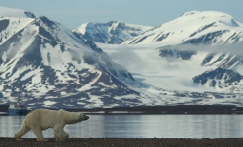 Rodzinna wyprawa na Svalbard