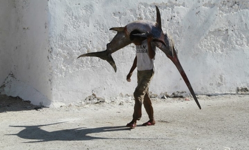 Somalia - nadzieja na lepsze jutro