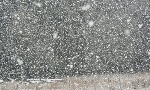 ŚCISK mit Monya CP (Berlin) / Nóż / Freeze / Chmara / Qba Janicki / Erdmann