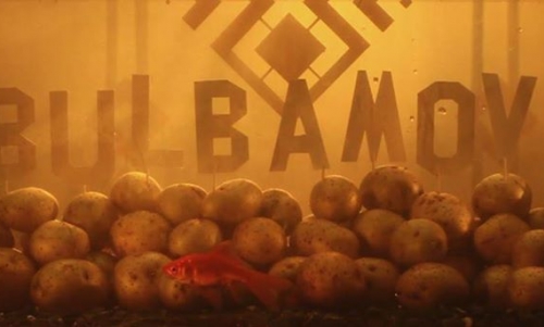 19.10.2013./BULBAMOVIE 2013 - KONCERT/ Akute (Białoruś), No Logo (PL)/ CDQ / Burakowska 12