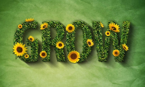 Szkolenie Growingowe™