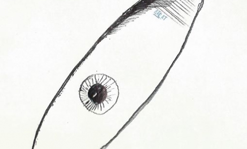 Matushka (RU) + Oat Oaks (RU) + Sun Frenzy | 16.09 I Chmury