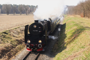 Wyprawa ze Złotym Misiem